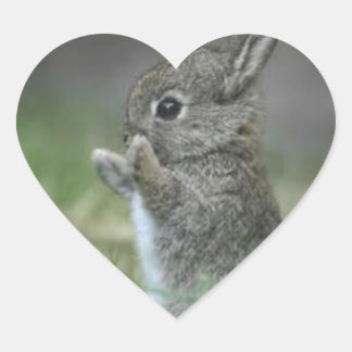 ICH HEART BUNNYS Herz-Aufkleber
