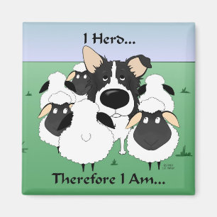 Ich Herd ... also bin ich Magnet