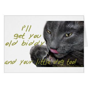 Ich hole dich! Funny Cat
