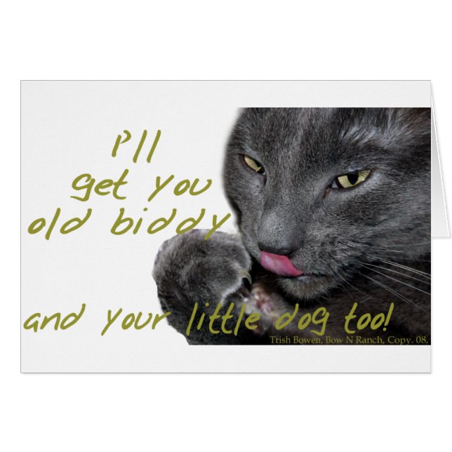 Ich hole dich! Funny Cat (Vorderseite (Horizontal))