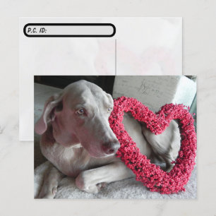 Ich höre dich, wenn du den Weimaraner überquerst Postkarte