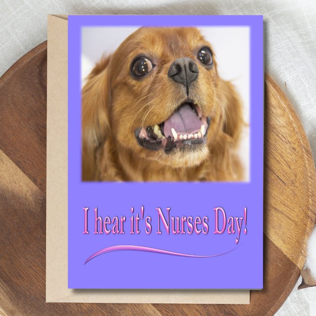 Ich höre, es ist Nurses Day Cavalier King Charles  Karte (Von Creator hochgeladen)
