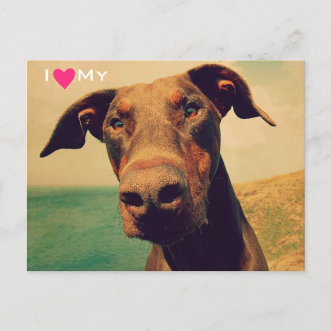 Ich höre meinen natürlichen Doberman Postkarte (Vorderseite)