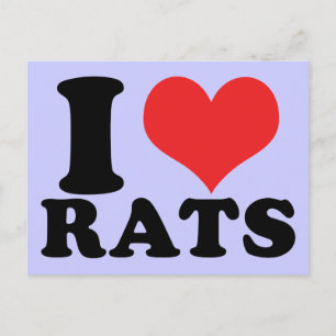 Ich höre Rats Basic Postkarte