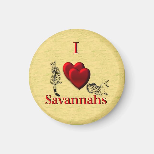 Ich höre Savannahs Magnet (Vorne)