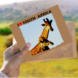 Ich höre Südafrika Blue Sky Giraffen Postkarte