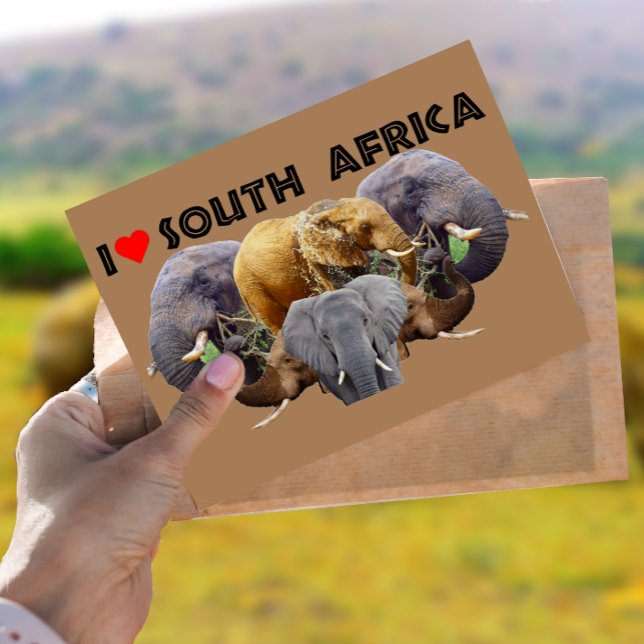 Ich höre Südafrika ElefantenEmblem Postkarte (Von Creator hochgeladen)