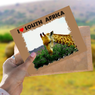 Ich höre Südafrika Giraffe Thorn Postkarte