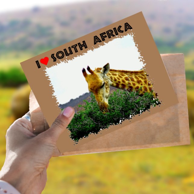 Ich höre Südafrika Giraffe Thorn Postkarte (Von Creator hochgeladen)