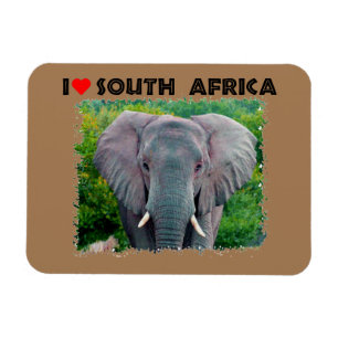 Ich höre Südafrika, junger Elefant Magnet