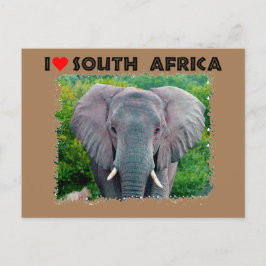 Ich höre Südafrika, junger Elefant Postkarte