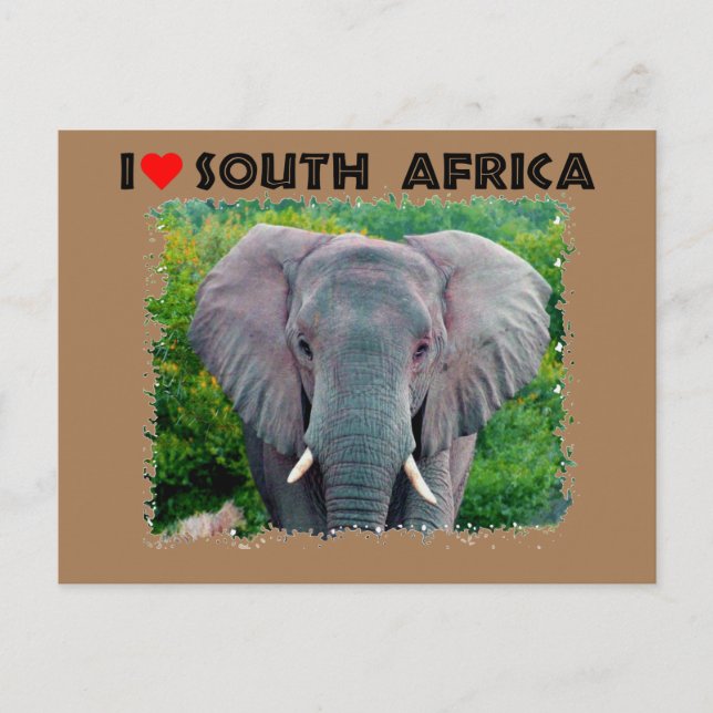 Ich höre Südafrika, junger Elefant Postkarte (Vorderseite)