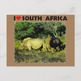 Ich höre Südafrika Rhino Couple Postkarte