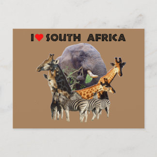 Ich höre Südafrika Wildlife Collage Postkarte