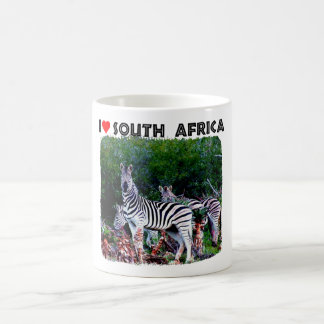 Ich höre Südafrika Zebra Aloe Kaffeetasse