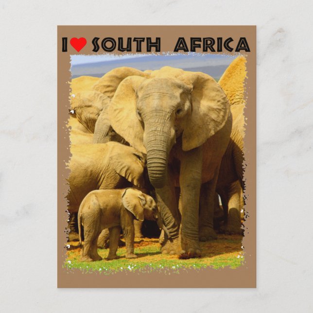 Ich höre Südafrikanische Elefantenmutter und Kalb Postkarte (Vorderseite)