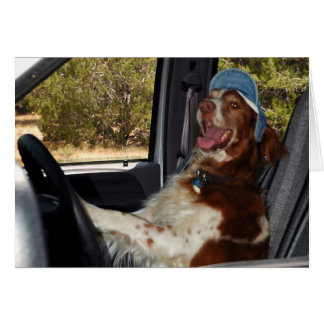 ICH KANN NICHT 55 FAHREN! -Gestalted