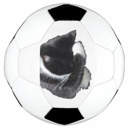 Ich kann nicht einmal jetzt fußball