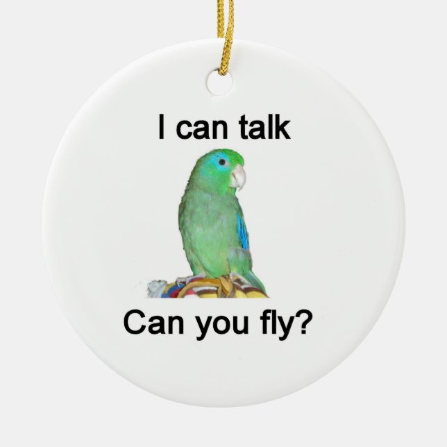 Ich kann reden, kannst du fliegen? keramikornament (Vorne)
