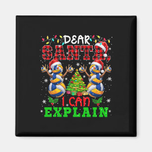 Ich kann Weihnachtsschneemännern erklären, die Vol Magnet
