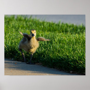 Ich komme, Daddy Poster