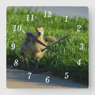 Ich komme gerade zur Daddy Wall Clock Quadratische Wanduhr
