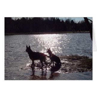 Ich könnte ein Leben lang Sonnenuntergänge mit dir