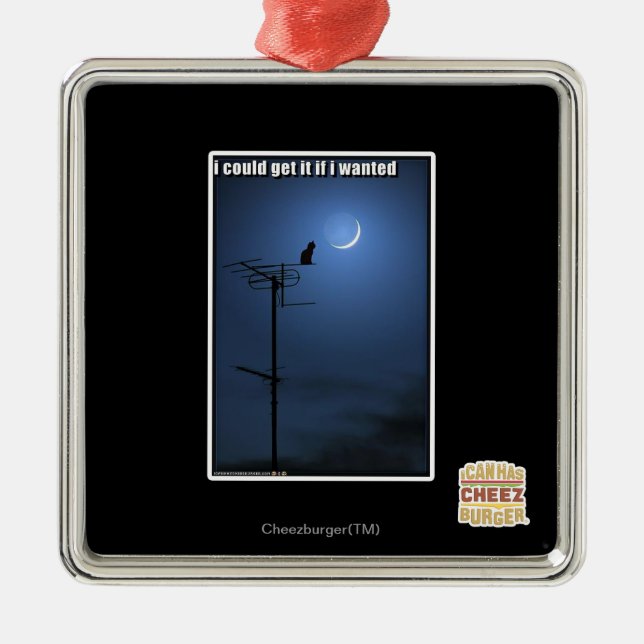 Ich könnte es erhalten, wenn ich wollte silbernes ornament (Vorne)