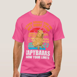 Ich kümmere mich um Sie nicht mehr als Capybaras C T-Shirt