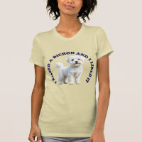 Ich küsste einen Bichon Frise-Welpen
