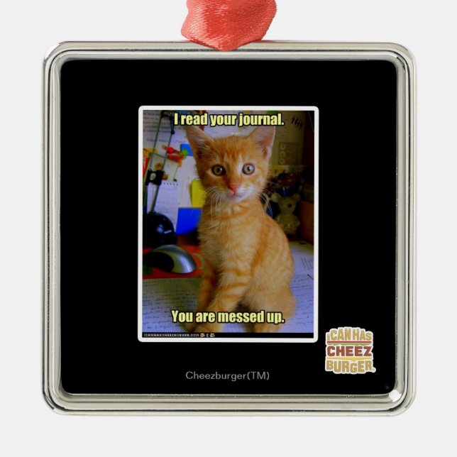 Ich las Ihre Zeitschrift Silbernes Ornament (Vorne)