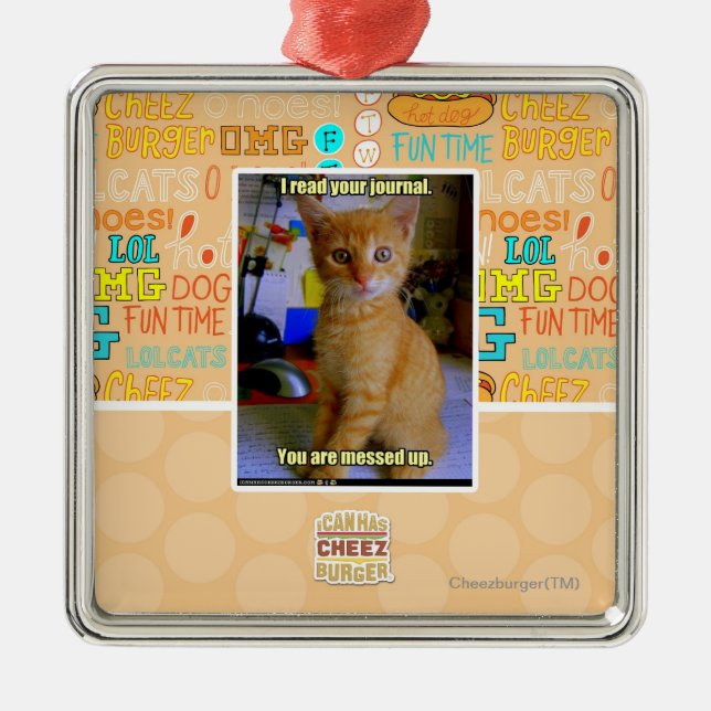 Ich las Ihre Zeitschrift Silbernes Ornament (Vorne)