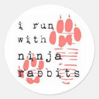 Ich laufe mit Ninja Kaninchen Runder Aufkleber