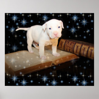 Ich lerne die Bibel lesen Poster