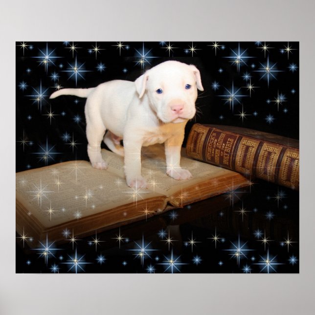 Ich lerne die Bibel lesen Poster (Vorne)