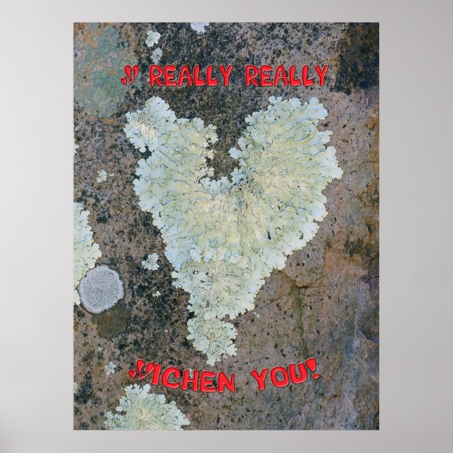 Ich Lichen Sie wirklich. Poster (Vorne)