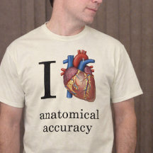 Ich liebe anatomische Genauigkeit