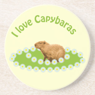 Ich liebe Capybaras Achterbahnen Untersetzer