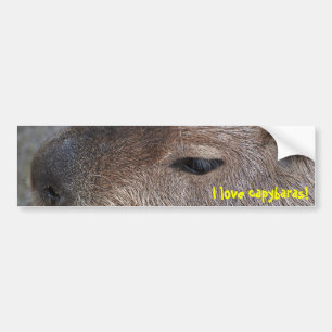 Ich liebe Capybaras Autoaufkleber