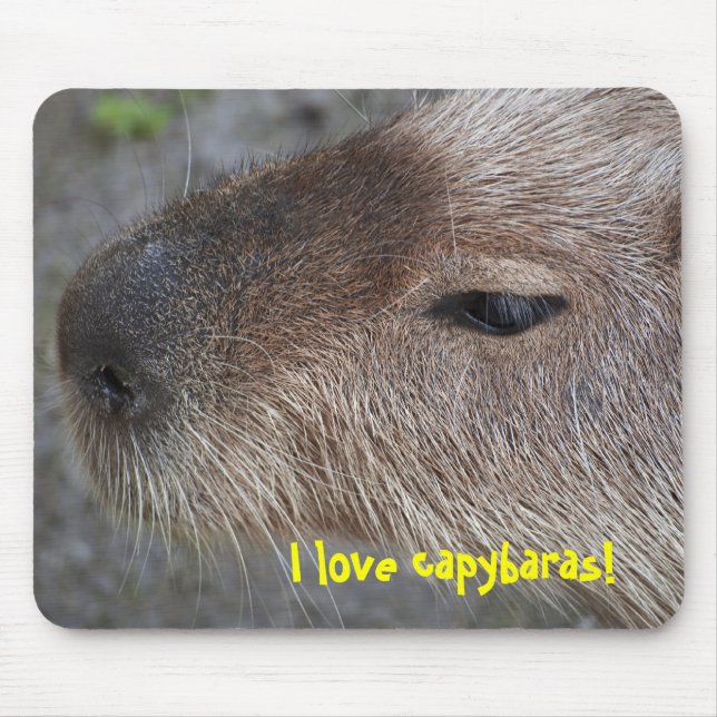 Ich liebe Capybaras Mousepad (Vorne)