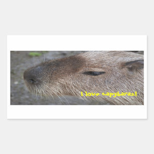 Ich liebe Capybaras Rechteckiger Aufkleber