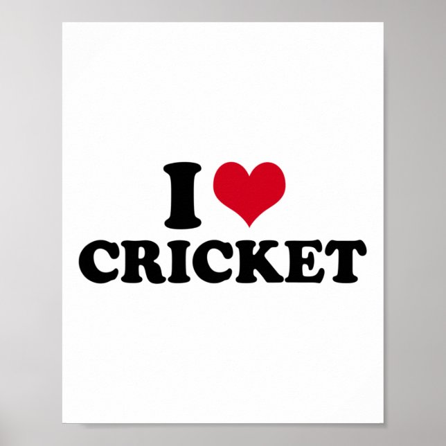 Ich liebe Cricket  Poster (Vorne)