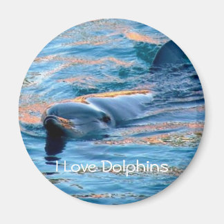 Ich liebe Delfine-Magnet Magnet