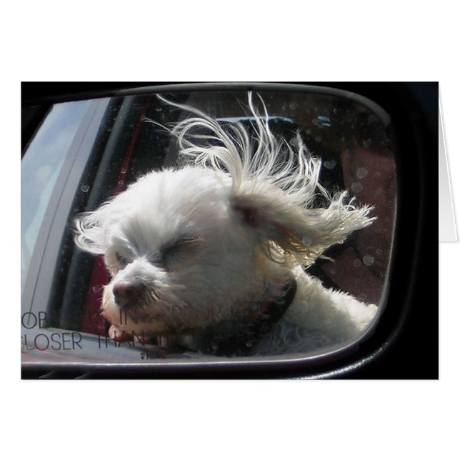 Ich Liebe den Wind und Regen in meinem Haar... (Vorderseite (Horizontal))