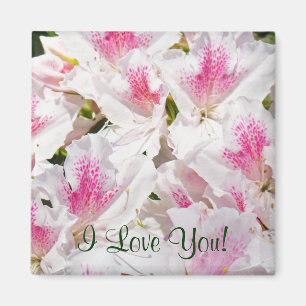 Ich Liebe dich! Magnet Rosa Weißer Azalea Blume Ma