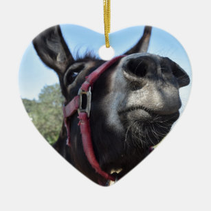 Ich Liebe Donkeys! Keramik Ornament