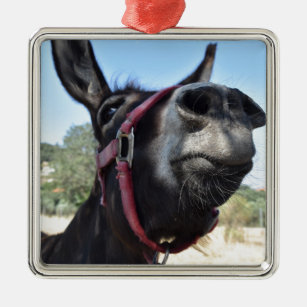 Ich Liebe Donkeys! Ornament Aus Metall