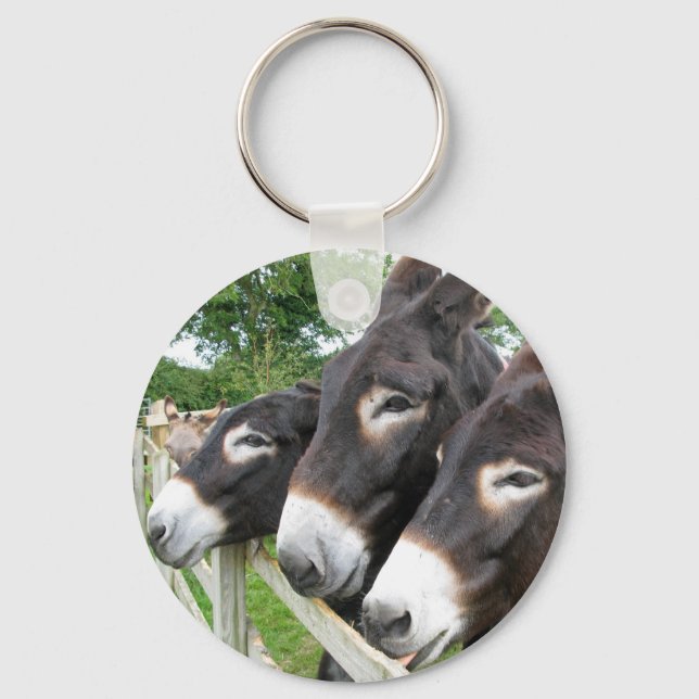 Ich Liebe Donkeys! Schlüsselanhänger (Vorderseite)