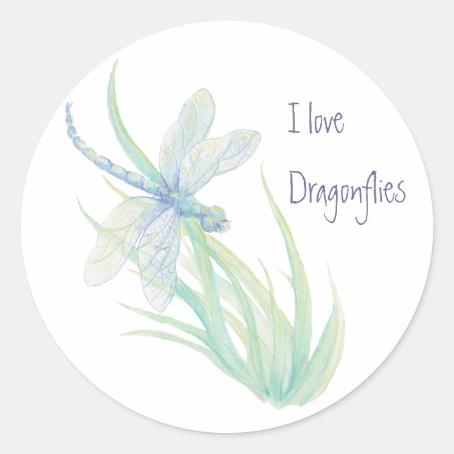 Ich Liebe Drachenfliegen in Blau und Grün Runder Aufkleber (Vorderseite)