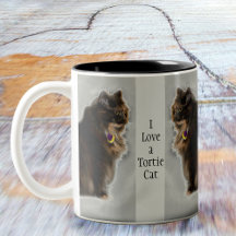Ich Liebe eine Tortie Cat Feline Fotografie